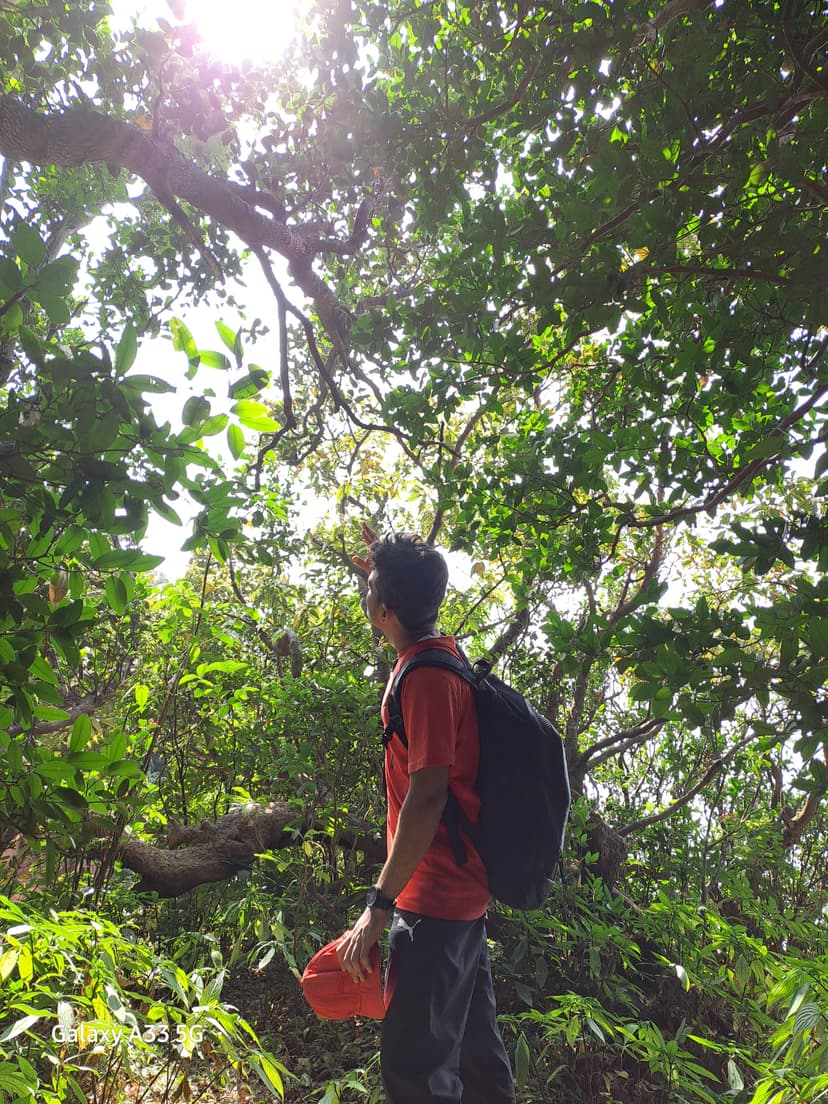 Profile